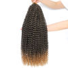 Picture of Dansama 6 Packs Passion Twist Hair Water Wave Braiding Hair for Butterfly Style Crochet Braids Bohemian Hair Extensions (24inch, T1B/27, Economy Pack)