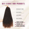 Picture of Dansama Passion Twist Hair Water Wave Braiding Hair for Butterfly Style Crochet Braids Bohemian Hair Extensions (18inch, T1B/30, Economy Pack)