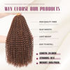 Picture of Dansama 7 Packs Passion Twist Hair Water Wave Braiding Hair for Butterfly Style Crochet Braids Bohemian Hair Extensions (24inch (Pack of 7), #30)