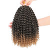 Picture of Dansama Passion Twist Hair Water Wave Braiding Hair for Butterfly Style Crochet Braids Bohemian Hair Extensions (12inch (Pack of 6), T1B/27)