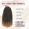 Picture of Dansama Passion Twist Hair Water Wave Braiding Hair for Butterfly Style Crochet Braids Bohemian Hair Extensions (12inch (Pack of 6), T1B/27)