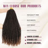 Picture of Dansama Passion Twist Hair Water Wave Braiding Hair for Butterfly Style Crochet Braids Bohemian Hair Extensions (22inch (Pack of 7), T1B/30)