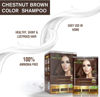 Picture of Herbishh Gray Hair Color Shampoo - Natural Argan Mask for Long-Lasting Color in Minutes - Travel Size, 10 Pack + 1 Pack, Ammonia-Free (Chestnut Brown)