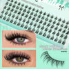 Picture of Bottom Lashes Manga Fairy Bottom Lash Clusters DIY Eyelash Extension 5-8mm Bottom Eyelashes Individual 2 Styles Natural Lower Lashes Clusters for Bottom Lash Extensions by calphdiar