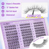 Picture of ALICE Wispy Lash Clusters Kit, Natural Lash Extension Kit Cluster Eyelash Extension Kit, 162pcs C Curl 10-14mm Eyelash Clusters with Lash Glue Bond and Seal Tweezers
