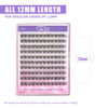 Picture of GAQQI Lash Clusters, Eyelash Clusters 120PCS C Curl Individual Lashes, Wispy Cluster Eyelash Extension 12mm Only, Natural Looking Cluster Lashes （GQ15, C Curl, 12mm)