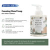 Picture of ROMIIE ZOI Christmas Foaming Hand Soap with Gift Box- Winter Plants, Infused with Winter Pine Scent - 500ml/ 16.8oz