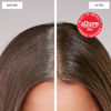 Picture of dpHUE Root Touch-Up Kit, Light Brown - Permanent Hair Color for Gray Coverage - Includes Two Applications - Paraben, SLS & SLES Sulfate Free - Leaping Bunny Certified