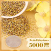 Picture of 5000PCS 2mm Resin Rhinestones in Bulk (Gold), Bedazzling Flatback Crystals for Crafts DIY Nail Decoration, Gems Charms for Tumbler Shoes Clothing Fabric with Pickup Pen and Tweezers