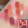 Picture of evpct 16 Colors Glitter Shimmer Matte Pink Red Blush Orange Peach Eyeshadow Makeup Palette Pallet Waterproof Highly Pigmented Smokey Pressed Sparkly Shiny Eye Shadow paletas de sombras para de ojos
