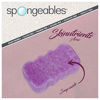 Picture of Spongeables Body Wash in a 20+ Wash Sponge, Acai Berry, 1 Count, 20+ Washes, 3.5oz