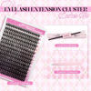 Picture of FADLASH DIY Lash Extension Kit Individual Lashes Cluster D Curl Eyelash Extension Kit with Lash Bond and Seal and Lash Applicator Tool for Self Application at Home (50D-0.07D-12-18MIX KIT)