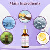 Picture of Venature Bakuchiol Retinol Rejuvenation Serum,2024 Best Retinol Serum for Wrinkles Bakuchiol Retinol Face Serum Korean, Retinol Serum for Wrinkles, Reduce Wrinkles
