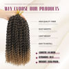 Picture of Dansama Passion Twist Hair Water Wave Braiding Hair for Butterfly Style Crochet Braids Bohemian Hair Extensions (14inch (Pack of 7), T1B/27）