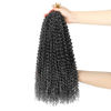 Picture of Dansama Passion Twist Hair Water Wave Braiding Hair for Butterfly Style Crochet Braids Bohemian Hair Extensions (18inch (Pack of 6), T1B/GREY, Economy Pack)