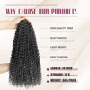 Picture of Dansama Passion Twist Hair Water Wave Braiding Hair for Butterfly Style Crochet Braids Bohemian Hair Extensions (18inch (Pack of 6), T1B/GREY, Economy Pack)