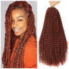 Picture of Dansama Passion Twist Hair 18 inch : Water Wave Crochet Hair Braiding Hair for Bohemian Crochet Braids Hair Extensions (18inch (Pack of 7), #350)