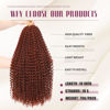 Picture of Dansama Passion Twist Hair 18 inch : Water Wave Crochet Hair Braiding Hair for Bohemian Crochet Braids Hair Extensions (18inch (Pack of 7), #350)