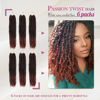 Picture of Dansama Passion Twist Hair Water Wave Braiding Hair for Butterfly Style Crochet Braids Bohemian Hair Extensions (18inch (Pack of 6), T1B/350, Economy Pack)