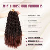 Picture of Dansama Passion Twist Hair Water Wave Braiding Hair for Butterfly Style Crochet Braids Bohemian Hair Extensions (18inch (Pack of 6), T1B/350, Economy Pack)