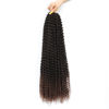 Picture of Alrence Passion Twist Hair 24 Inch 8 Packs Water Wave Crochet Hair Curly Braiding Hair For Butterfly Locs Long Bohe Crochet Braids (24 Inch (Pack of 8), 1B/33)