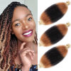 Picture of 18 Inch Pre-Separated Springy Afro Twist Hair 3 Packs Pre-Fluffy Natural Curls are Perfect for Marley Crochet Hair Suitable for Black Women (1b / 27/613, 18 Inch (Pack of 3))