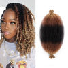 Picture of 8 Packs Pre-Separated Springy Afro Twist Hair 12 Inch Pre-Fluffy Natural Curls are Perfect for Marley Crochet Hair Suitable for Black Women (1B/30/27, 12 Inch (Pack of 8))