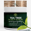 Picture of Tea Tree Scalp Scrub | Antifungal Itchy Scalp Treatment with Tea Tree Oil, Quartz Powder & Sea Salt | Gently Exfoliates, Relieves Dryness, Fights Dandruff, Promotes Healthy Hair Growth & Scalp Relief