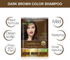 Picture of Herbishh Natural Hair Color Shampoo for Gray Hair - Argan Hair Mask, Travel Size, Long-Lasting Color, Ammonia-Free, 10 Pack + 1 Pack (Dark Brown)