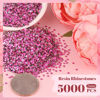 Picture of 5000PCS 2mm Resin Rhinestones in Bulk (Hot Pink), Bedazzling Flatback Crystals for Crafts DIY Nail Decoration, Gems Charms for Tumbler Shoes Clothing Fabric with Pickup Pen and Tweezers