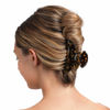 Picture of Medium Claw Hair Clips for Women Girls Tortoise Hair Jaw Clips Celluloid Hair Claw Clamps Leopard Print Hair Clasp 3 Pack Mother's Day Gifts