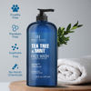 Picture of Botanic Hearth Tea Tree Face Wash with Mint - Acne Fighting, Premium, Hydrating Liquid Face Soap with Pure Tea Tree Oil - for Women and Men, Paraben Free, Fights Acne - 16 fl oz