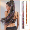 Picture of Hair Tinsel Kit (48 Inch,20 Colors, 6200 strands), Fairy Tinsel Hair Extensions with Tools - Glitter Hair Tinsel Heat Resistant Accessories for Girls Women Kids Christmas New Year Halloween Cosplay