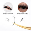 Picture of KOLYBEL Premade Fan Spikes Lash Extensions 0.07mm D Curl 8-15mm Mixed Tray Wipsy Volume Lash Extensions 320 Spikes Fans Matte Black Eyelash Extension Supplies（0.07-D,8-15mm）