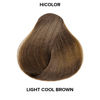 Picture of L'Oréal Technique HiColor Browns & Blondes Permanent Hair Color | Lifts Dark Hair in One Step | No Brassiness | Rich, Smooth Creme Formula | Intense, Long-Lasting Color | Coolest Light Brown