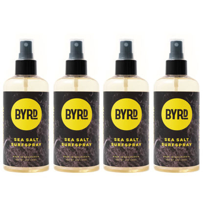 Picture of Byrd Sea Salt Surfspray, Salty Coconut Scent, Texturizing and Volumizing Spray, Hydration and Hair Shine Spray, Surfer Hair, Safe for All Hair Types, 8 Fl Oz, Pack of 4