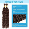 Picture of Chocolate Brown Human Braiding Hair Water Wave Bulk Human Hair 100g 24 Inch Color4 Curly Human Hair for Boho Braids Hair Extensions No Weft 2 Braids Per Pack Wet and Wavy Human Hair Braiding Hair