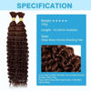 Picture of Chocolate Brown Human Braiding Hair Deep Water Wave Bulk Human Hair 100g 16 Inch Color4 Curly Human Hair for Boho Braids Hair Extensions No Weft 2 Braids Per Pack Wet and Wavy Human Hair Braiding Hair