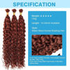 Picture of Dark Ginger Human Braiding Hair Water Wave Bulk Human Hair 150g 24 Inch Color 350 Curly Human Hair for Boho Braids Hair Extensions No Weft 3 Braids Per Pack Wet and Wavy Human Hair Braiding Hair