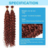Picture of Human Braiding Hair Water Wave Bulk Human Hair 100g 22 Inch Color 350 Curly Human Hair for Boho Braids Hair Extensions No Weft 2 Braids Per Pack Wet and Wavy Human Hair Braiding Hair Dark Ginger