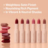 Picture of wet n wild Mega Last Rich Satin Lip Color, Rich Creamy Color with Satin Finish, Infused with Vitamin E & Moisturizing Argan Oil, Lightweight, Silky-Smooth, Vegan & Cruelty-Free - Disco Rose