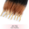 Picture of 3 Packs Springy Afro Twist Hair 10 inch1B27613# Pre-Separated Kinky Marley Twist Braiding Hair Soft Crochet for Distressed Faux Locs Spring Twist Hair for Women (10 Inch (Pack of 3), 1B27613#)