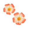 Picture of Love Sweety 2pc Hawaiian Plumeria Hair Clips Galsang Flower Barrettes for Beach Party(Orange), 1 Count (Pack of 1)
