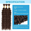 Picture of Chocolate Brown Human Braiding Hair Water Wave Bulk Human Hair 150g 14 Inch Color4 Curly Human Hair for Boho Braids Hair Extensions No Weft 3 Braids Per Pack Wet and Wavy Human Hair Braiding Hair
