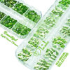 Picture of 2630Pcs Light Green Nail Rhinestones 120 Multi Shapes Crystal Grass Green Flatback Rhinestones Gems +2510 Round Beads Glass Stones Diamonds jewels w Wax Pen for Nail DIY Face Eye Mackup Clothes Shoes