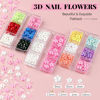 Picture of 3D Flowers, Manicure Kit with Nail Rhinestone Glue Gel, Colorful Acrylic Flower Nail Charms with Caviar Beads, Rhinestones for Nails & Gem Glue for Nails (UV/LED Needed) with Dotting & Pickup Tools