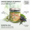Picture of Dead Sea Collection Eucalyptus Salt Scrub - Exfoliating Body Scrub for Women - Moisturizing and Nourishing Skin - with Pure Oils and Dead Sea Minerals (23.28 Oz)