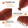 Picture of 350 Afro Twist Hair 30 Inch 2 Packs Long Ginger Springy Afro Twist Hair Pre Fluffed Afro Wrapping Hair for Soft Distressed Locs (30 Inch (Pack of 2), 350#)