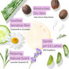 Picture of Tree to Tub Lavender Body Wash for Sensitive Skin & Dry Skin - pH Balanced Moisturizing Body Wash, Hydrating Sulfate Free Vegan Body Soap for Women & Men w/Organic Shea Butter, All Natural Aloe Vera