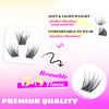 Picture of GAQQI Lash Clusters, GQ03 False Eyelashes DIY Lash Extensions C Curl 168PCS Cluster Lashes 12MM, Wispy and Natural Lash Wisps (GQ03,12mm,C Curl)